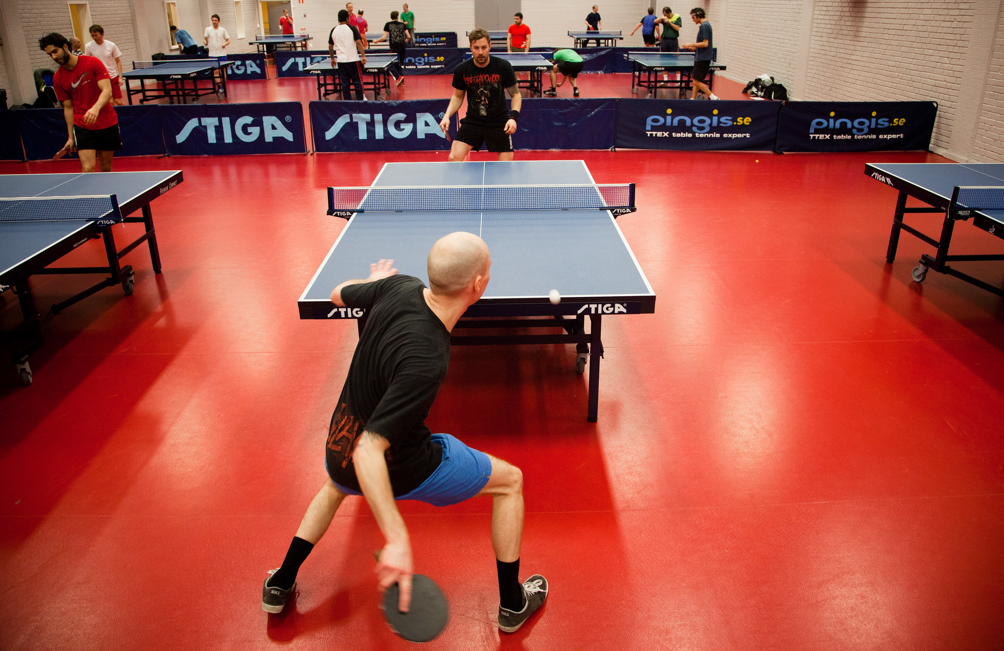 8388292837 D277b81e4b K