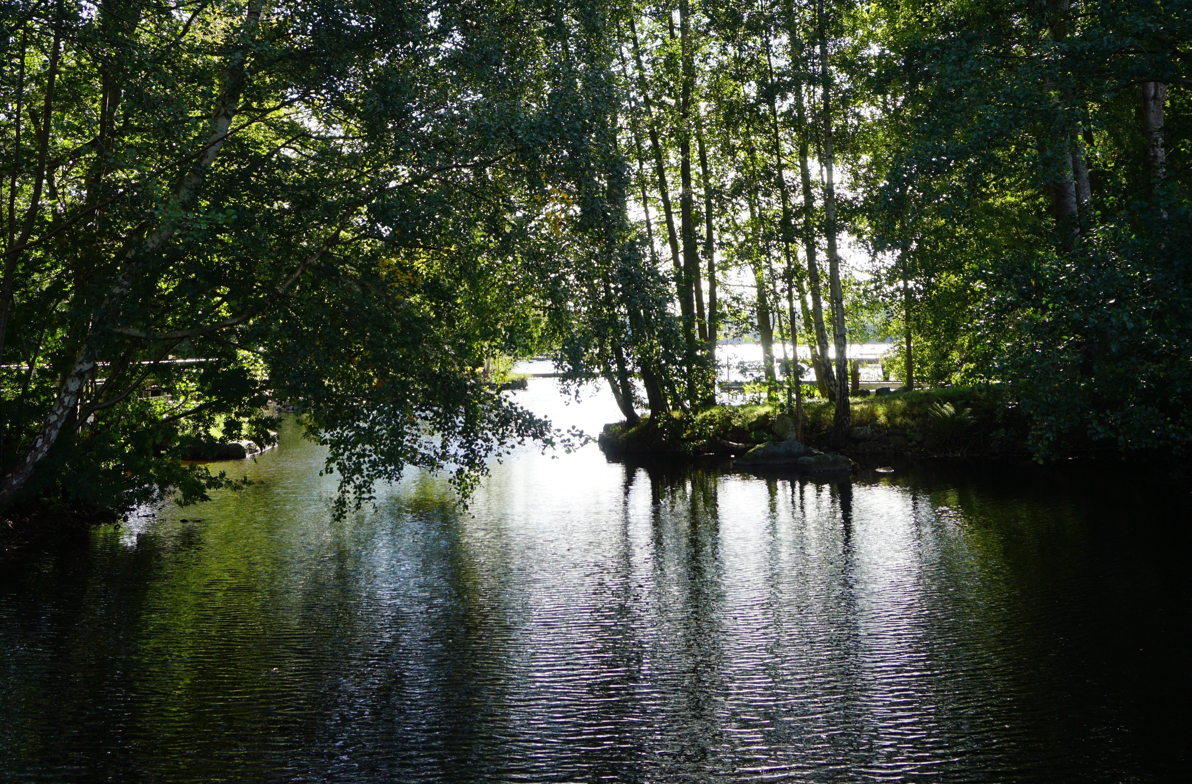 Höst